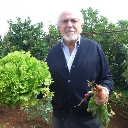 El Jagueel Montaneta