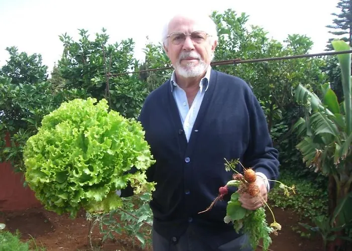 El Jagueel Montaneta